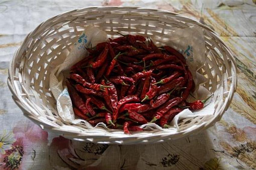 İltihabı söküp atıyor!  Troid ve Guatr için şifa, curcumin ve ibetain deposu, 1 çay kaşığı yetiyor