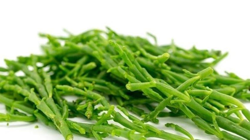 İltihabı söküp atıyor!  Troid ve Guatr için şifa, curcumin ve ibetain deposu, 1 çay kaşığı yetiyor