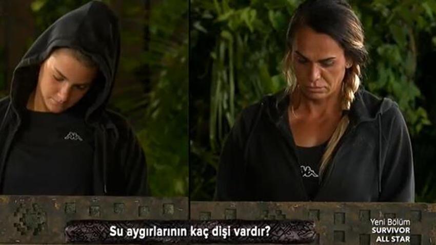 Survivor All Star'da yeni takımlar belli oldu! Hikmet-Adem gerilimi geceye damga vurdu