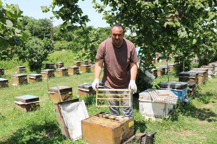 Bağışıklığa, kolesterole, kalbe tansiyona iyi geliyor! Gramı 15 lira! Servet değerinde