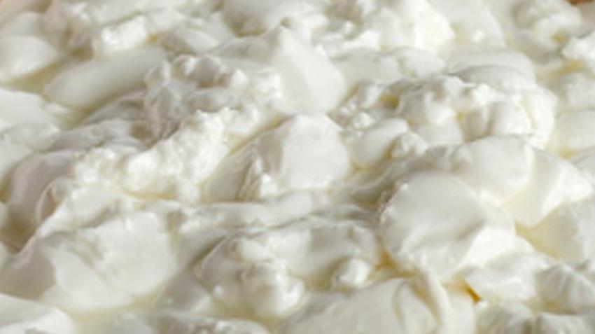 Güçlü bir probiyotik, vitamin ve mineral bakımından çok zengin! Osteoporozu önlüyor, enerji veriyor! Suyunu sakın dökmeyin çünkü...