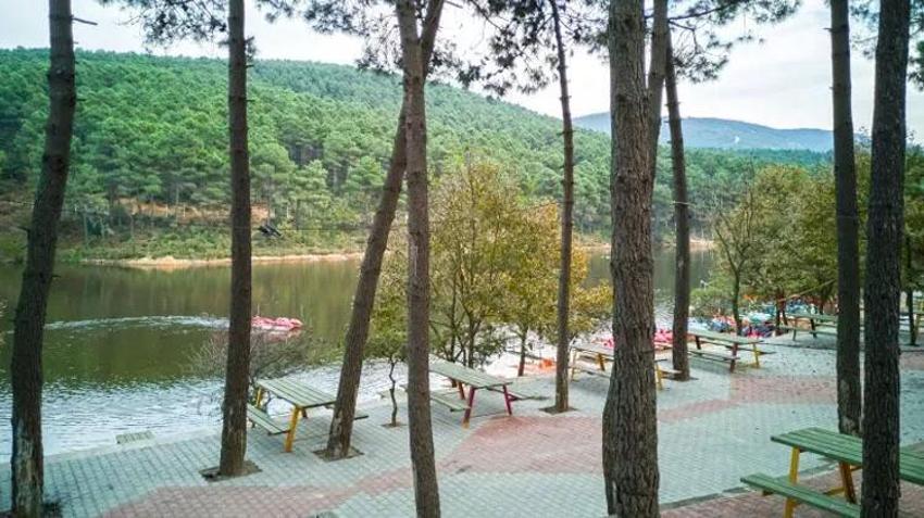 Hafta sonu piknik yapılacak en güzel yerler! İşte İstanbul, İzmir ve Ankara’ya yakın 20 alan: Orman, göl, şelale ve deniz...