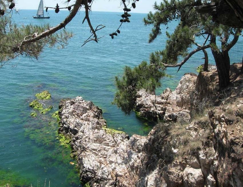 Hafta sonu piknik yapılacak en güzel yerler! İşte İstanbul, İzmir ve Ankara’ya yakın 20 alan: Orman, göl, şelale ve deniz...