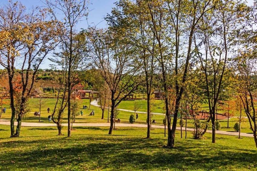 Hafta sonu piknik yapılacak en güzel yerler! İşte İstanbul, İzmir ve Ankara’ya yakın 20 alan: Orman, göl, şelale ve deniz...