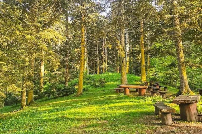 Hafta sonu piknik yapılacak en güzel yerler! İşte İstanbul, İzmir ve Ankara’ya yakın 20 alan: Orman, göl, şelale ve deniz...