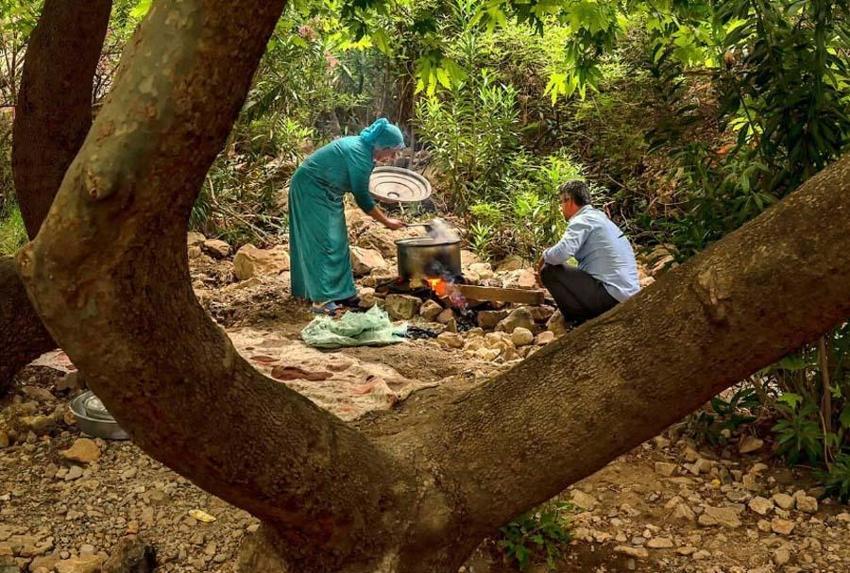 Hafta sonu piknik yapılacak en güzel yerler! İşte İstanbul, İzmir ve Ankara’ya yakın 20 alan: Orman, göl, şelale ve deniz...