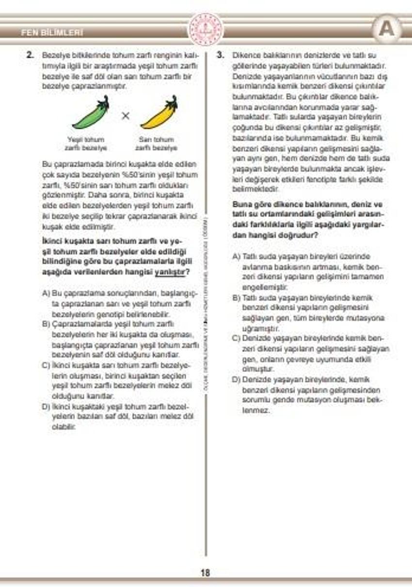 Son dakika.. LGS soru kitapçıkları ve cevap anahtarları yayımlandı