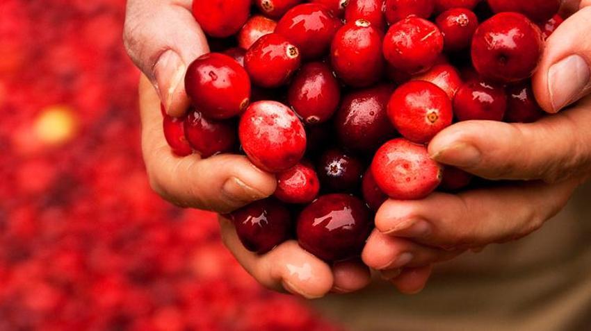 Kan şekerini düşürüyor, tam bir vitamin deposu! Antibakteriyel, doğal bir idrar söktürücü! Uzmanlar mucize meyveyi keşfetti, bir ay boyunca her gün tüketen...