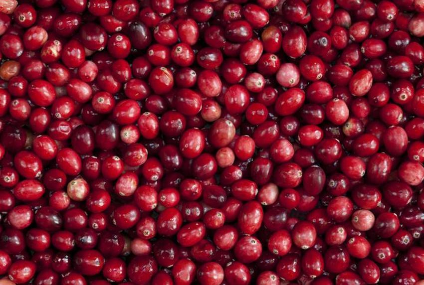 Kan şekerini düşürüyor, tam bir vitamin deposu! Antibakteriyel, doğal bir idrar söktürücü! Uzmanlar mucize meyveyi keşfetti, bir ay boyunca her gün tüketen...