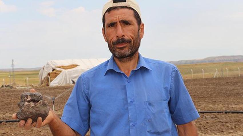 Tarlada çalışırken buldu! İnternette araştırınca gözlerine inanamadı