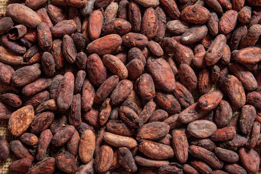 Alzheimer’a şifa, hafızayı güçlendiriyor! Kan şekerini düzenliyor, tam bir demir deposu...