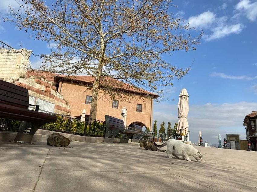 En güzel, en muhteşem ve en popüler 199 tarihi yer ve mekan! Dünyadan milyonlarca turist görmek için Türkiye'ye akın ediyor...