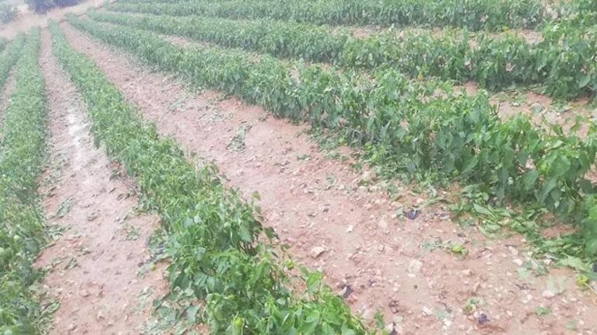 Meteoroloji'den art arda uyarılar, şiddetli geliyor! Marmara'nın doğusunda sel riski