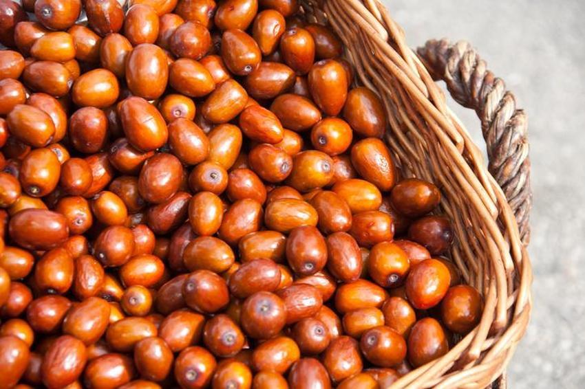 Yaşlanmayı geciktiriyor, kanser hücrelerini öldürüyor, tansiyon ve diyabete iyi geliyor! İşte ‘ölümsüzlük meyvesi’nin bilinmeyen faydaları...