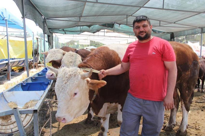 Kurbanlık fiyatları il il açıklandı! İşte bayrama 18 gün kala büyükbaş ve küçükbaş kurban kesim bedelleri...