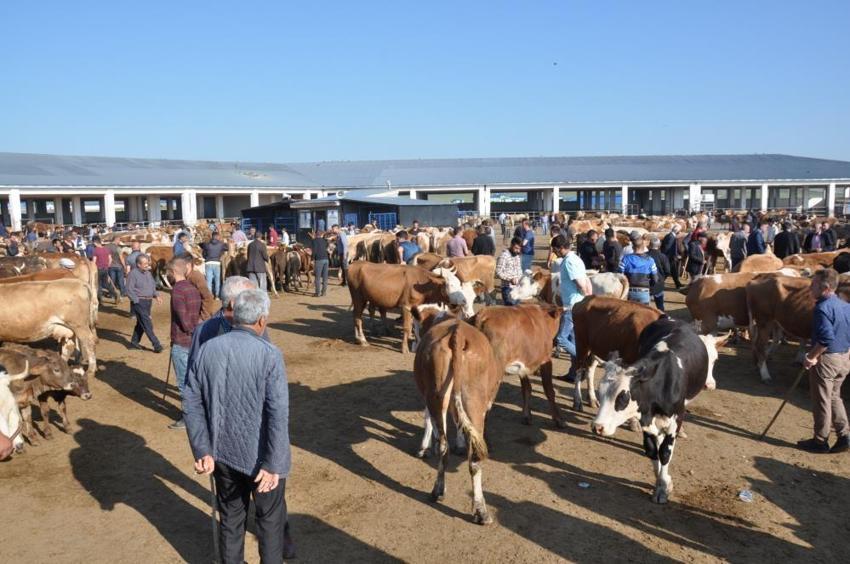 Kurbanlık fiyatları il il açıklandı! İşte bayrama 18 gün kala büyükbaş ve küçükbaş kurban kesim bedelleri...