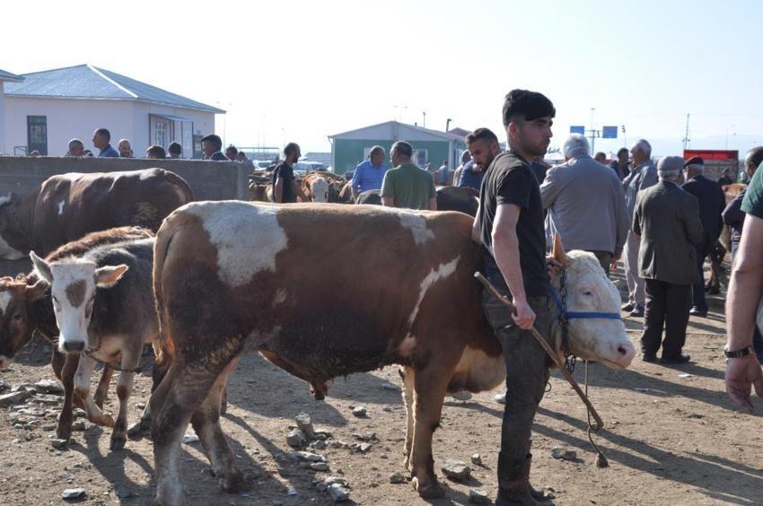Kurbanlık fiyatları il il açıklandı! İşte bayrama 18 gün kala büyükbaş ve küçükbaş kurban kesim bedelleri...