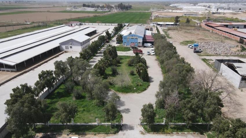 Kurbanlık fiyatları il il açıklandı! İşte bayrama 18 gün kala büyükbaş ve küçükbaş kurban kesim bedelleri...