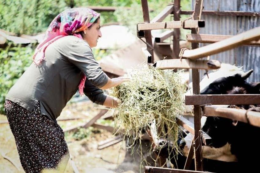 Paraya para demiyor! Evde canı sıkılınca başladı, eşi bile gülüp geçti ama şimdi servet sahibi...
