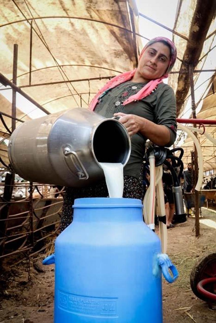 Paraya para demiyor! Evde canı sıkılınca başladı, eşi bile gülüp geçti ama şimdi servet sahibi...