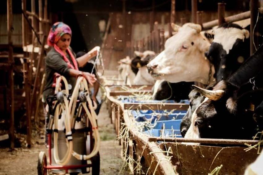 Paraya para demiyor! Evde canı sıkılınca başladı, eşi bile gülüp geçti ama şimdi servet sahibi...
