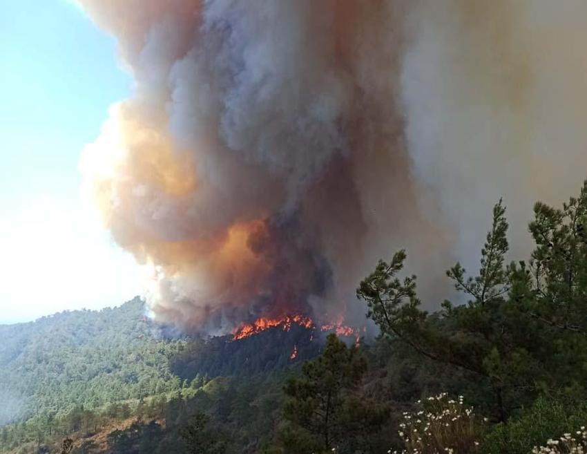Muğla Marmaris’te orman yangını! 20 helikopter ve 14 uçakla havadan müdahale ediliyor...