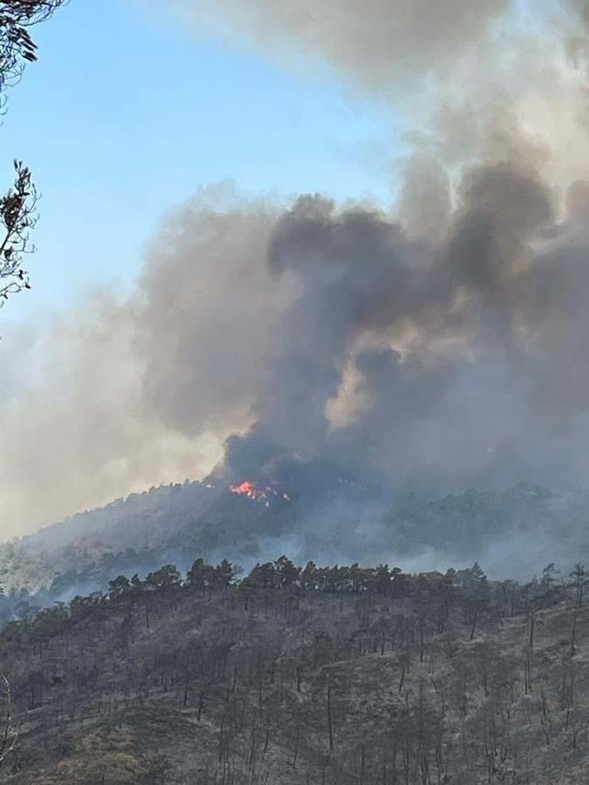 Muğla Marmaris’te orman yangını! 20 helikopter ve 14 uçakla havadan müdahale ediliyor...