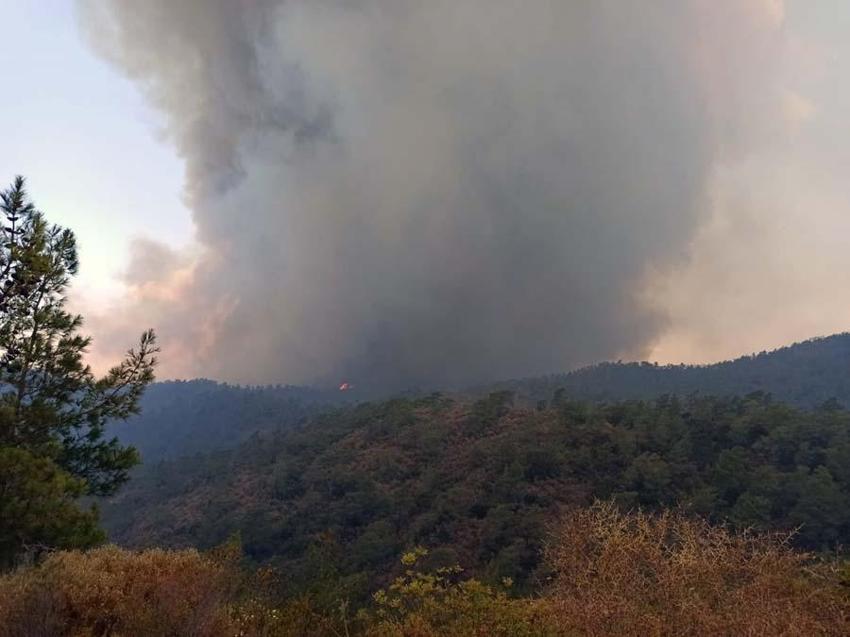 Muğla Marmaris’te orman yangını! 20 helikopter ve 14 uçakla havadan müdahale ediliyor...