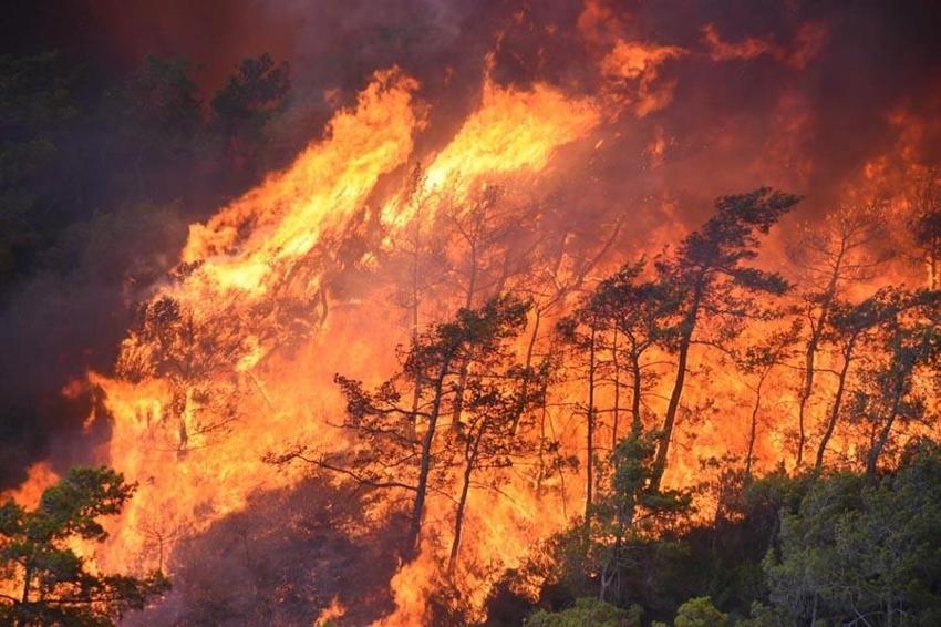 Marmaris'teki orman yangınında 3'üncü gün; alevler 5 noktada ilerliyor