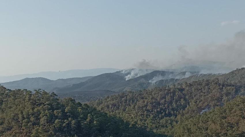 Marmaris'teki orman yangınında 3'üncü gün; alevler 5 noktada ilerliyor