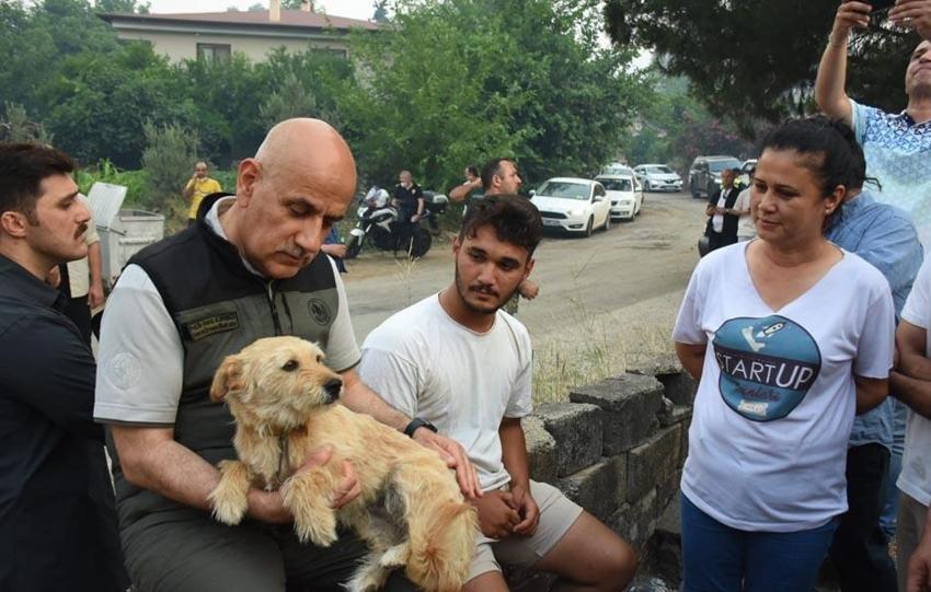 Marmaris'teki orman yangınında 3'üncü gün; alevler 5 noktada ilerliyor