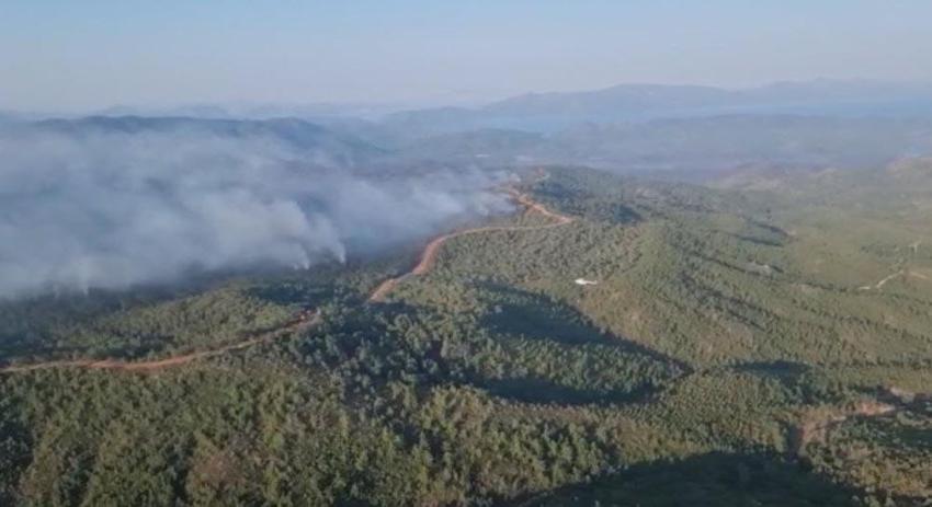 Marmaris'teki orman yangınında 3'üncü gün; alevler 5 noktada ilerliyor