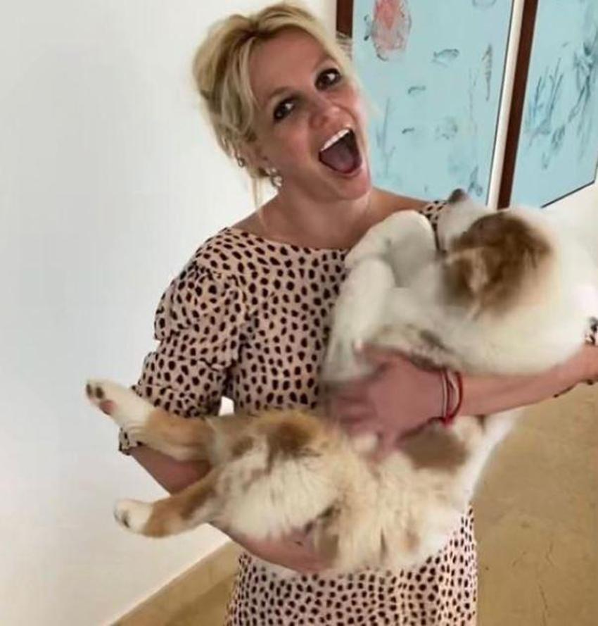 Britney Spears geri döndü! Sosyal medya yıkıldı
