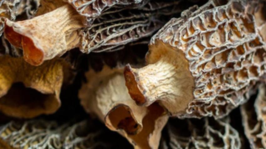Şeker hastalığı ile savaşıyor, kanserli hücre oluşumunu önlüyor! B12 ve D vitamini bakımından çok zengin, yüksek tansiyon riskini düşürüyor....