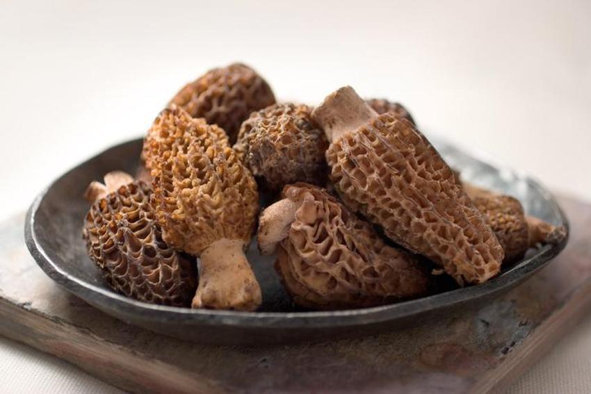 Şeker hastalığı ile savaşıyor, kanserli hücre oluşumunu önlüyor! B12 ve D vitamini bakımından çok zengin, yüksek tansiyon riskini düşürüyor....