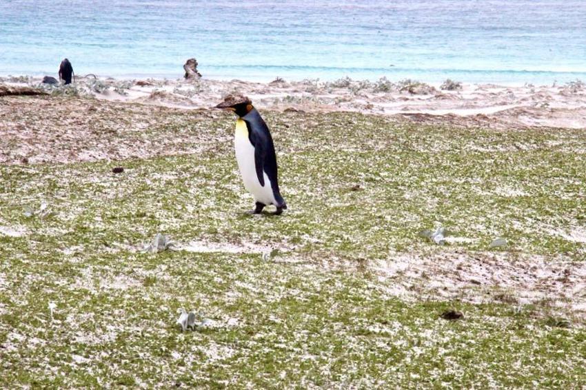 Dünyanın en kalabalık ülkeleri belli oldu! Türkiye Almanya'yı geçti Yunanistan ve İsveç'i 8'e katladı...