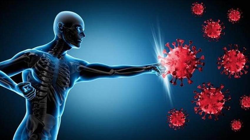 Tip 2 diyabet, alzheimer ve demans riskini ortadan kaldırıyor! Bağışıklığı güçlendiriyor, antioksidan deposu, C-E vitaminleri ve...