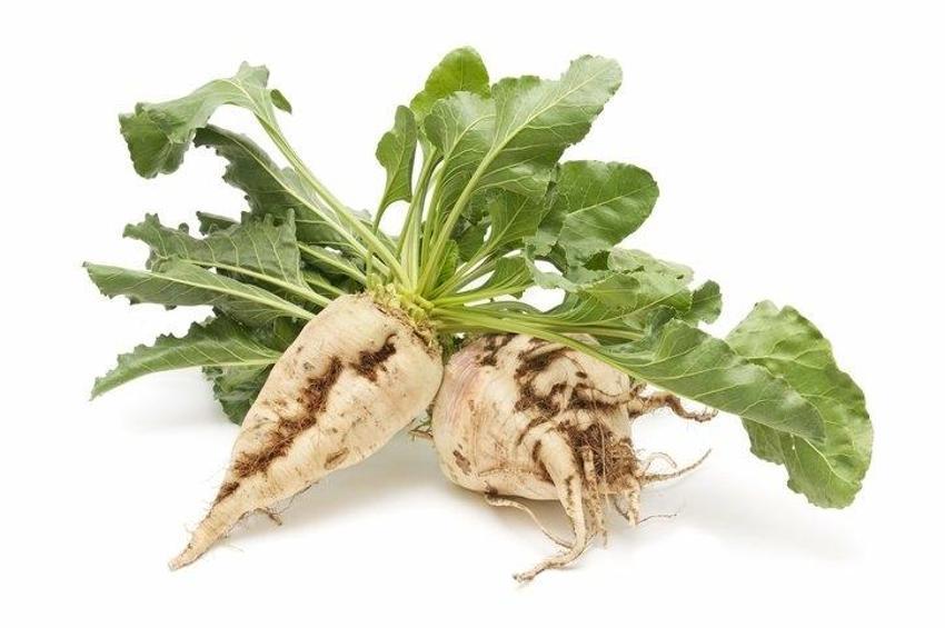 Tip 2 diyabet, alzheimer ve demans riskini ortadan kaldırıyor! Bağışıklığı güçlendiriyor, antioksidan deposu, C-E vitaminleri ve...