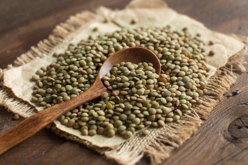 Tip 2 diyabet, alzheimer ve demans riskini ortadan kaldırıyor! Bağışıklığı güçlendiriyor, antioksidan deposu, C-E vitaminleri ve...
