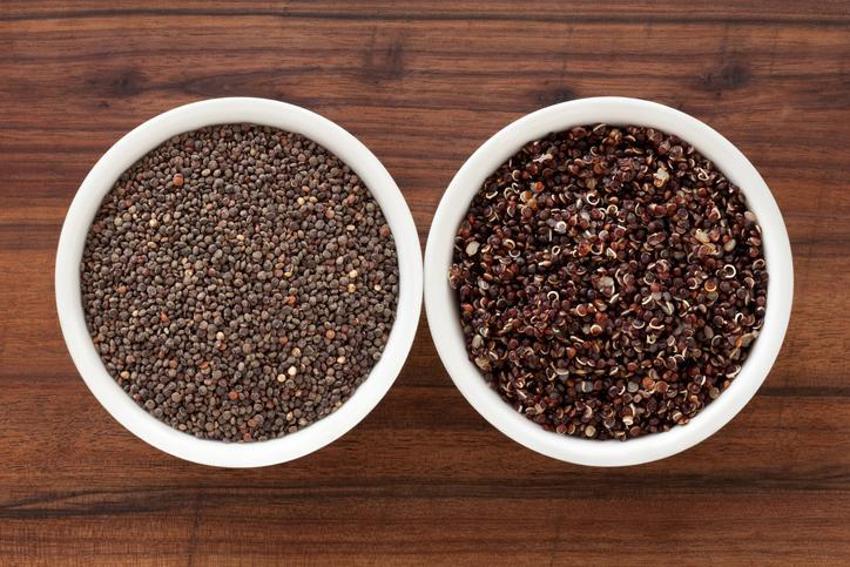 Alzheimer ve demans ile savaşıyor! Güçlü bir probiyotik, doğadaki en etkili bitkisel protein! Diyabet, kolesterol, obezite, tansiyon, kanser...