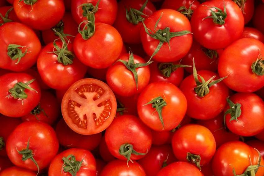 Alzheimer ve demans ile savaşıyor! Güçlü bir probiyotik, doğadaki en etkili bitkisel protein! Diyabet, kolesterol, obezite, tansiyon, kanser...