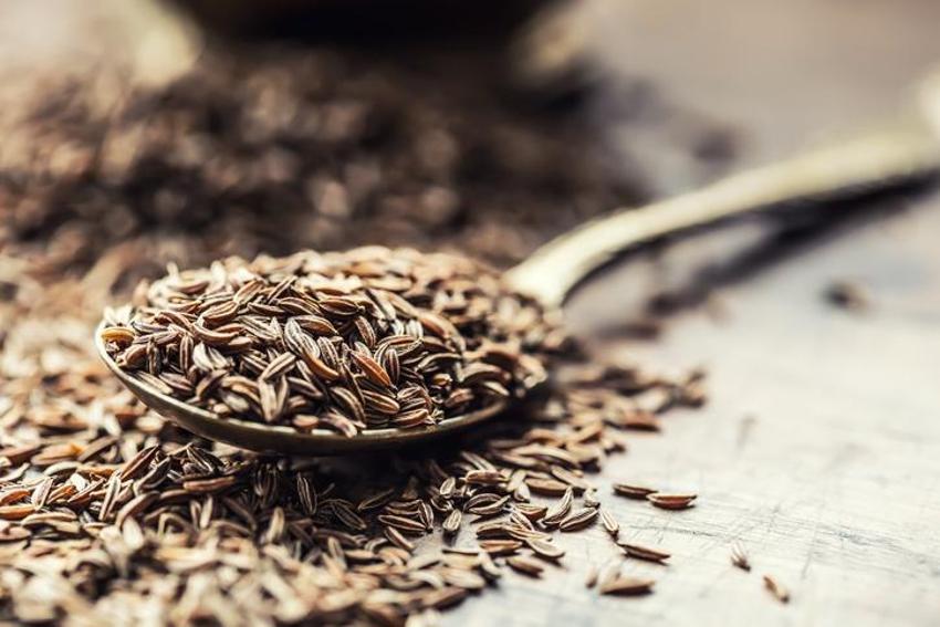 Alzheimer ve demans ile savaşıyor! Güçlü bir probiyotik, doğadaki en etkili bitkisel protein! Diyabet, kolesterol, obezite, tansiyon, kanser...