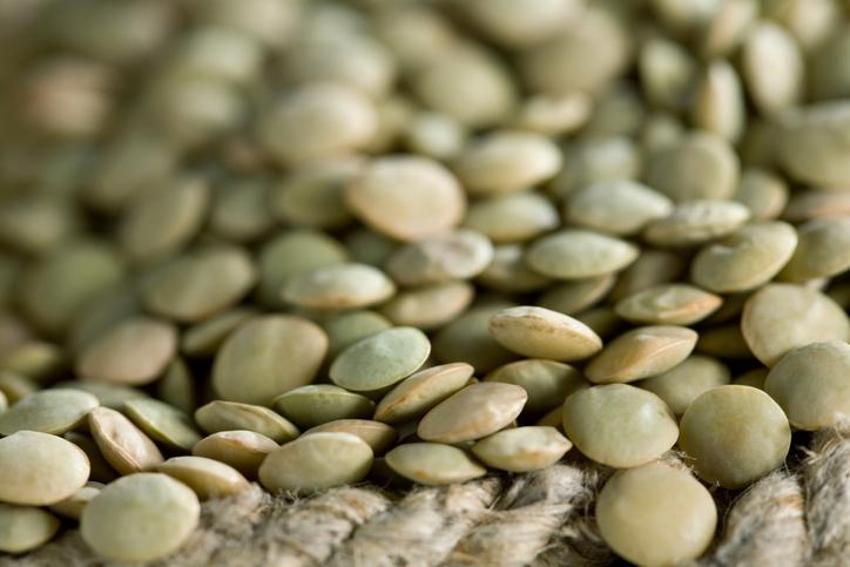 Alzheimer ve demans ile savaşıyor! Güçlü bir probiyotik, doğadaki en etkili bitkisel protein! Diyabet, kolesterol, obezite, tansiyon, kanser...