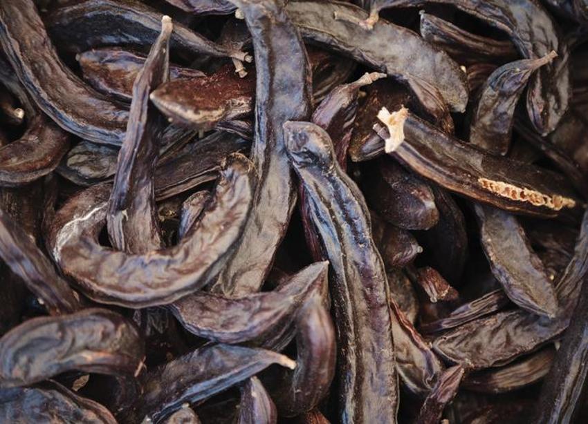 Akciğerleri tamamen temizliyor, kansere karşı çok etkili! Cinsel gücü ve sperm sayısını artırıyor, kan şekerini dengeliyor! Günde iki kere tüketen...