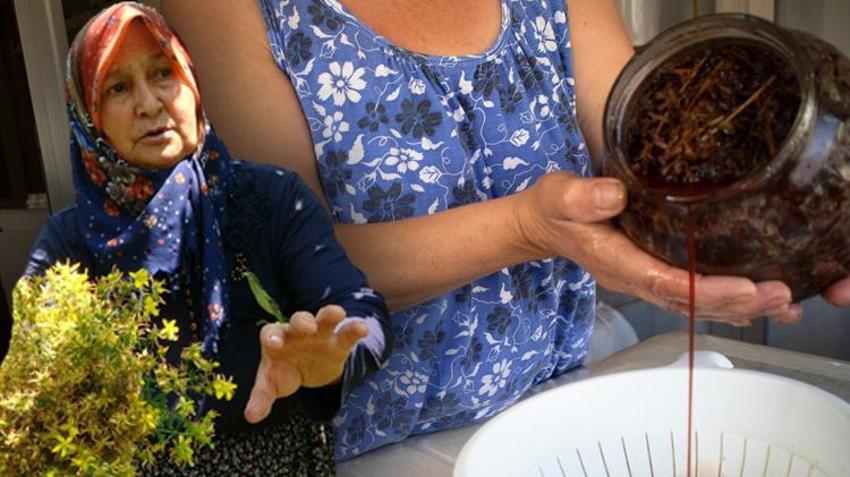 Doğal antidepresan, antiseptik özelliği ile mikropları öldürüyor! Kansere ve depresyona şifa! Doktor yarısı... 