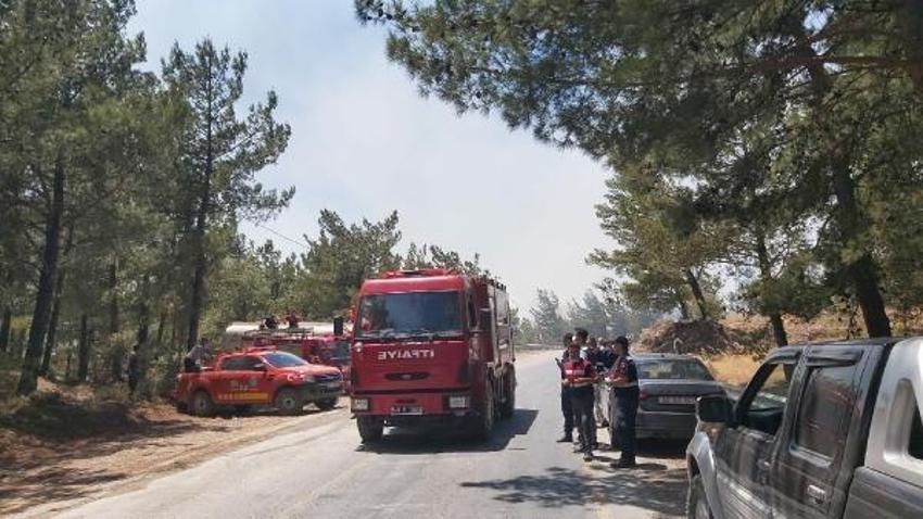 Datça'da orman yangını!
