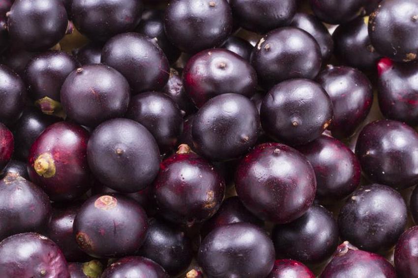 Açlık şekerini dengeliyor, kanser hücrelerini direkt yok ediyor, antioksidan deposu! Araştırma sonucu dikkat çekti, düzenli yenildiğinde...