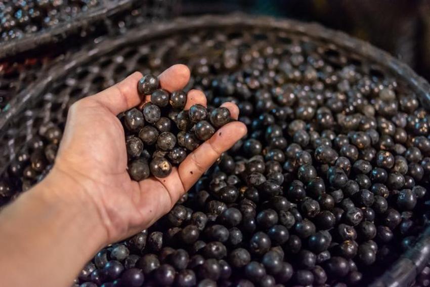 Açlık şekerini dengeliyor, kanser hücrelerini direkt yok ediyor, antioksidan deposu! Araştırma sonucu dikkat çekti, düzenli yenildiğinde...