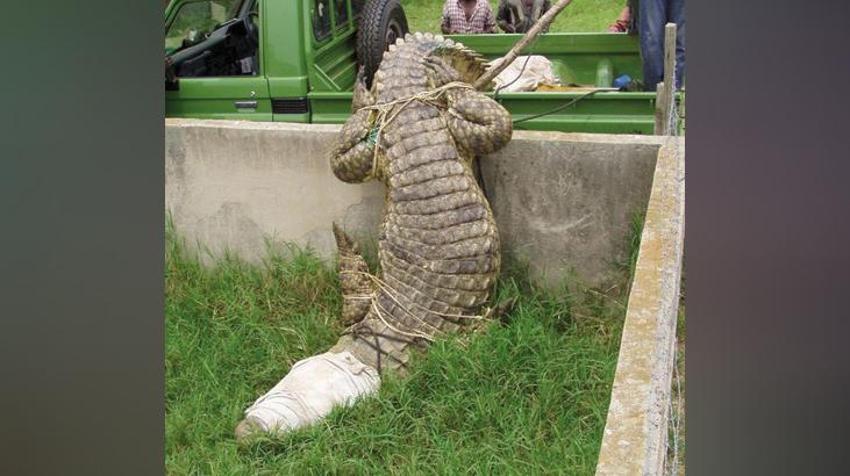 Ölümsüz canavar! 80 kişiyi yedi, köy nüfusu bir anda azaldı