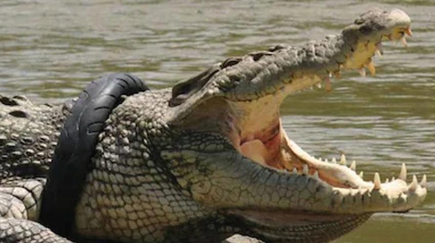 Ölümsüz canavar! 80 kişiyi yedi, köy nüfusu bir anda azaldı